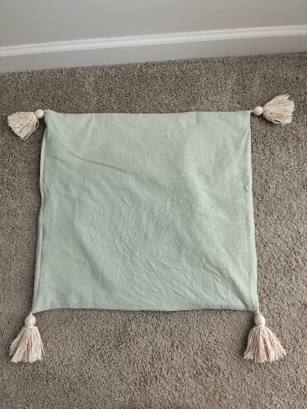 Mint Floral Tiger pillow cover 20”x20”